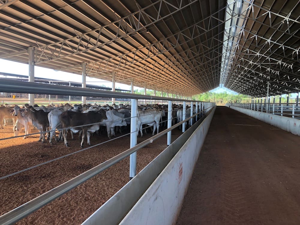 Image result for entegra sheds