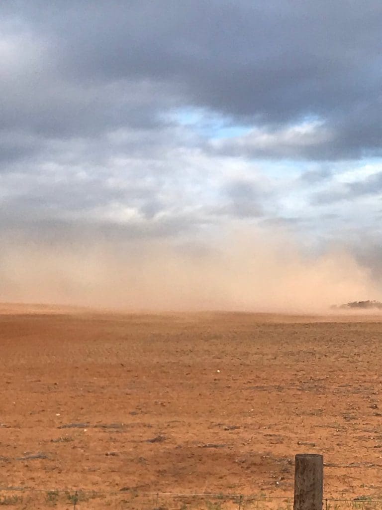 Weather certificates provide affordable risk management Grain Central