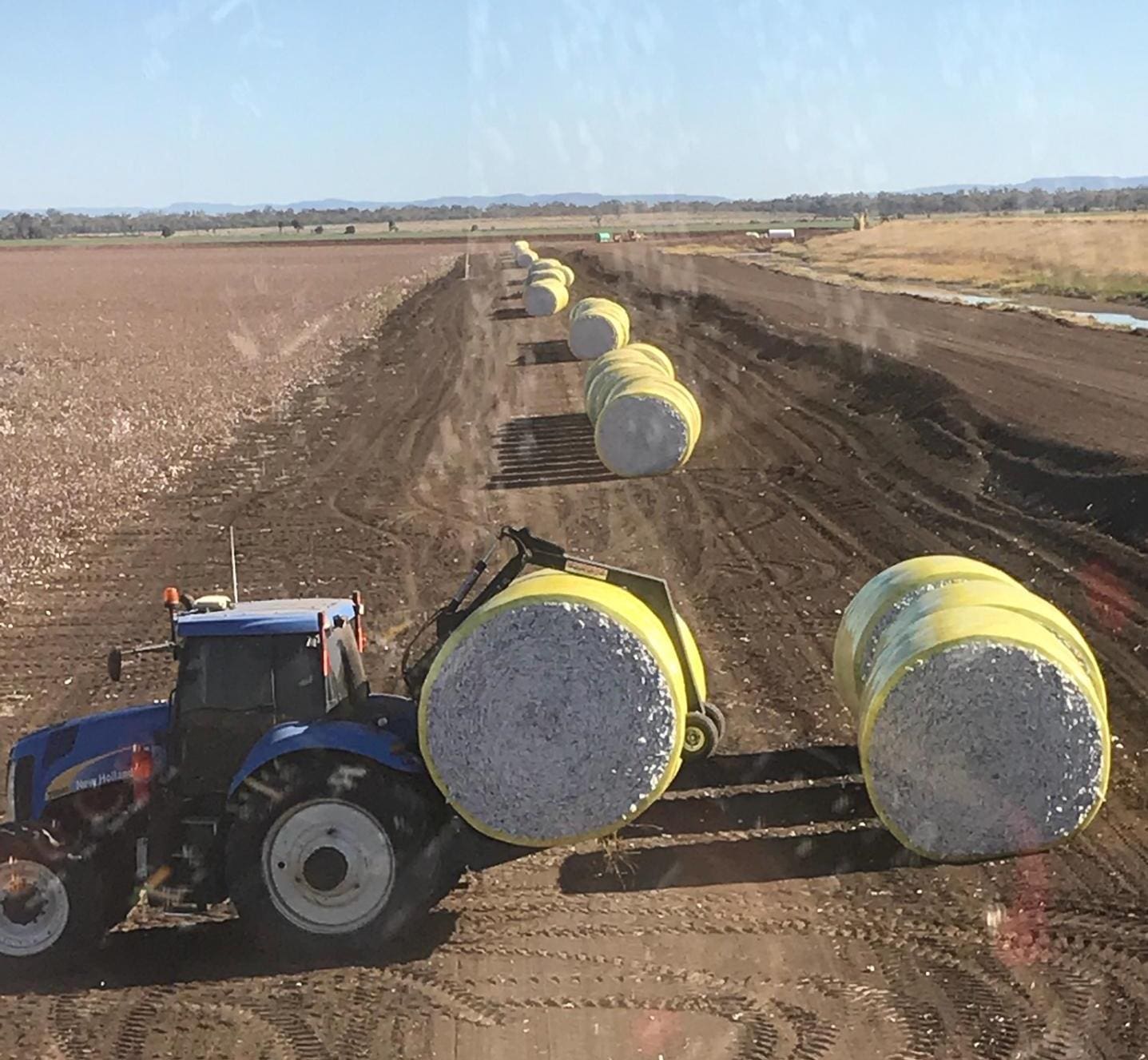 RFM buys Rolleston cotton holding for 18m Grain Central