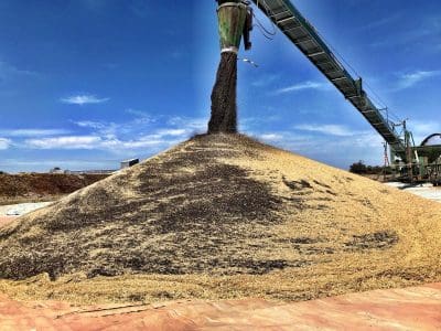 Bunge operates two up-country sites and a grain terminal in WA to make it one of the state's secondary bulk handlers also receiving canola and grain. Photo: Bunge WA