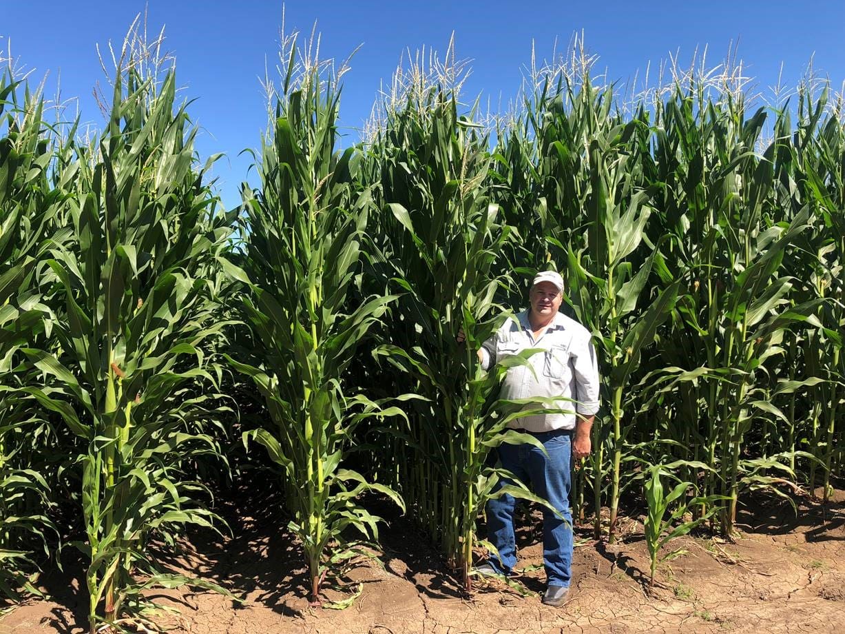 Ord Ships 30 000t Of Corn To Korean Dry Miller VIDEO Grain Central Ord Ships 30 000t Of Corn To Korean Dry Miller VIDEO Grain Central