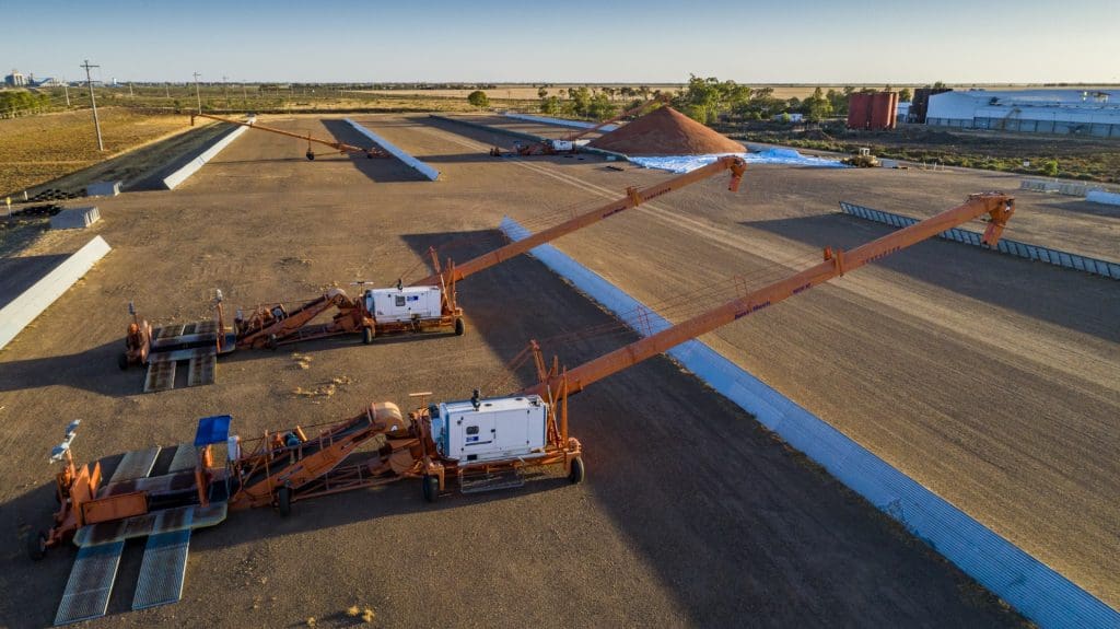 LDC lists Moree bulk storage as grain, cotton separate Grain Central