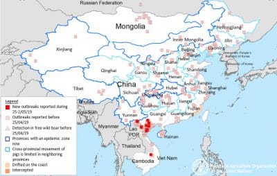 China’s pork plight in the Year of the Pig - Grain Central