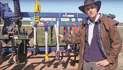 paired weeds quantifying yield desbiolles favours seeding