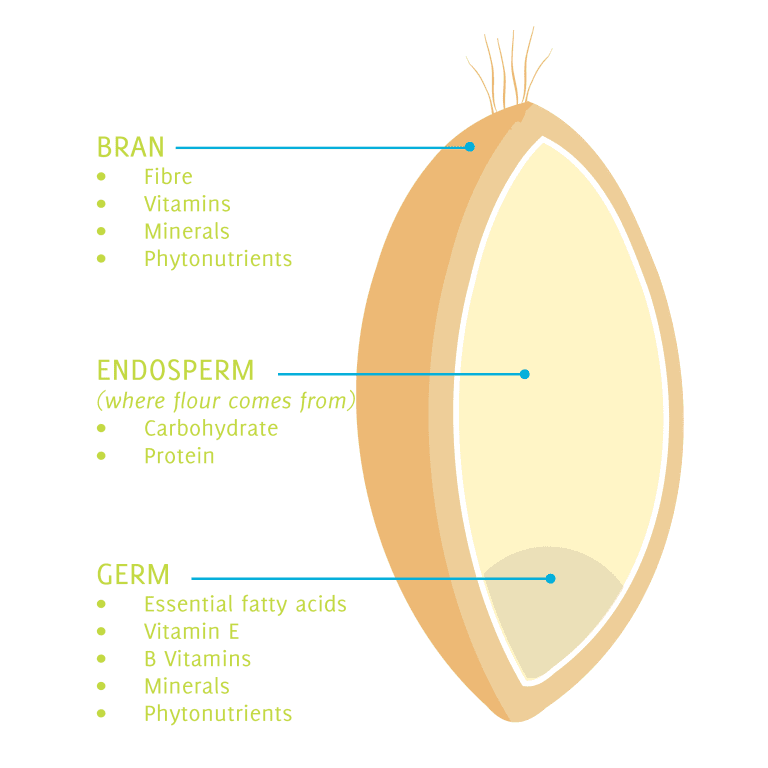 New guidelines to authenticate whole grain flour Grain Central