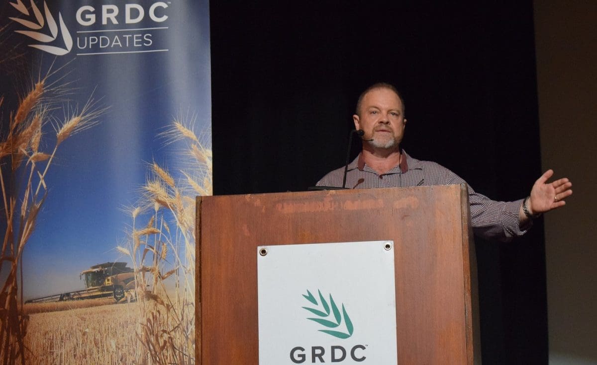 Long dry raises risk of winter cereal diseases Grain Central