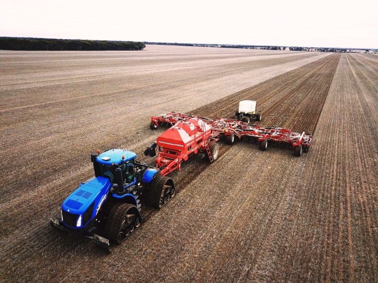 Canola outlook bright as markets call for Australian seed, oil Grain
