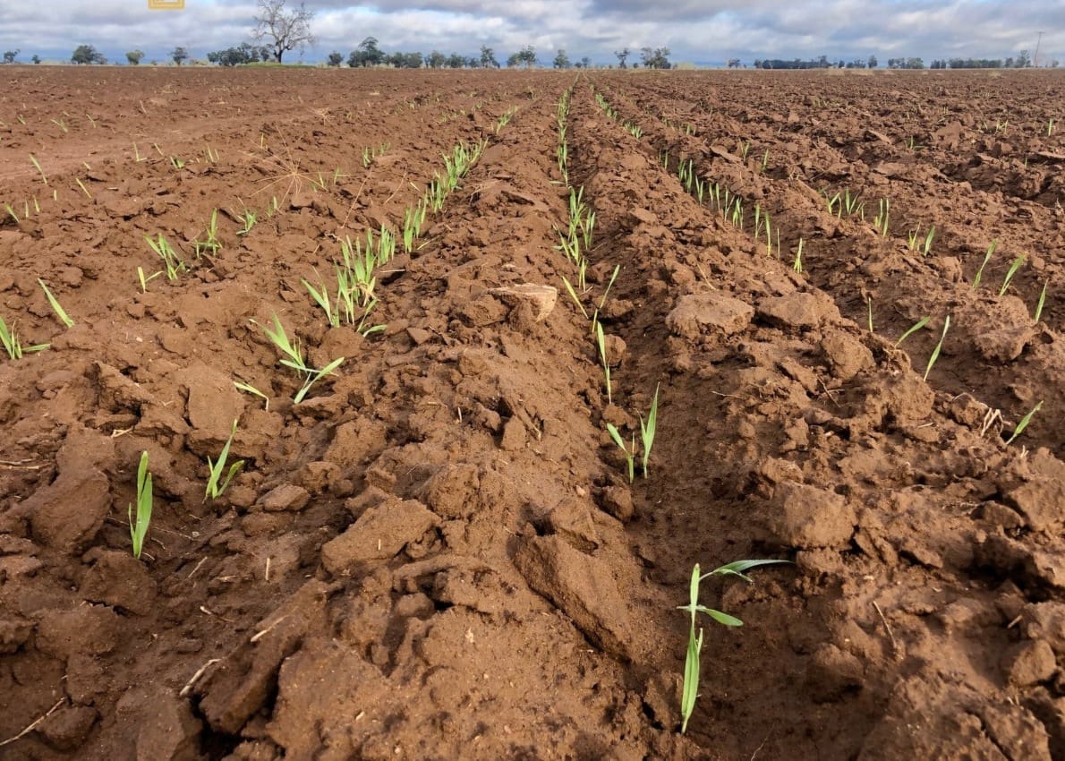 Farm lending landscape changes amid challenges - Grain Central