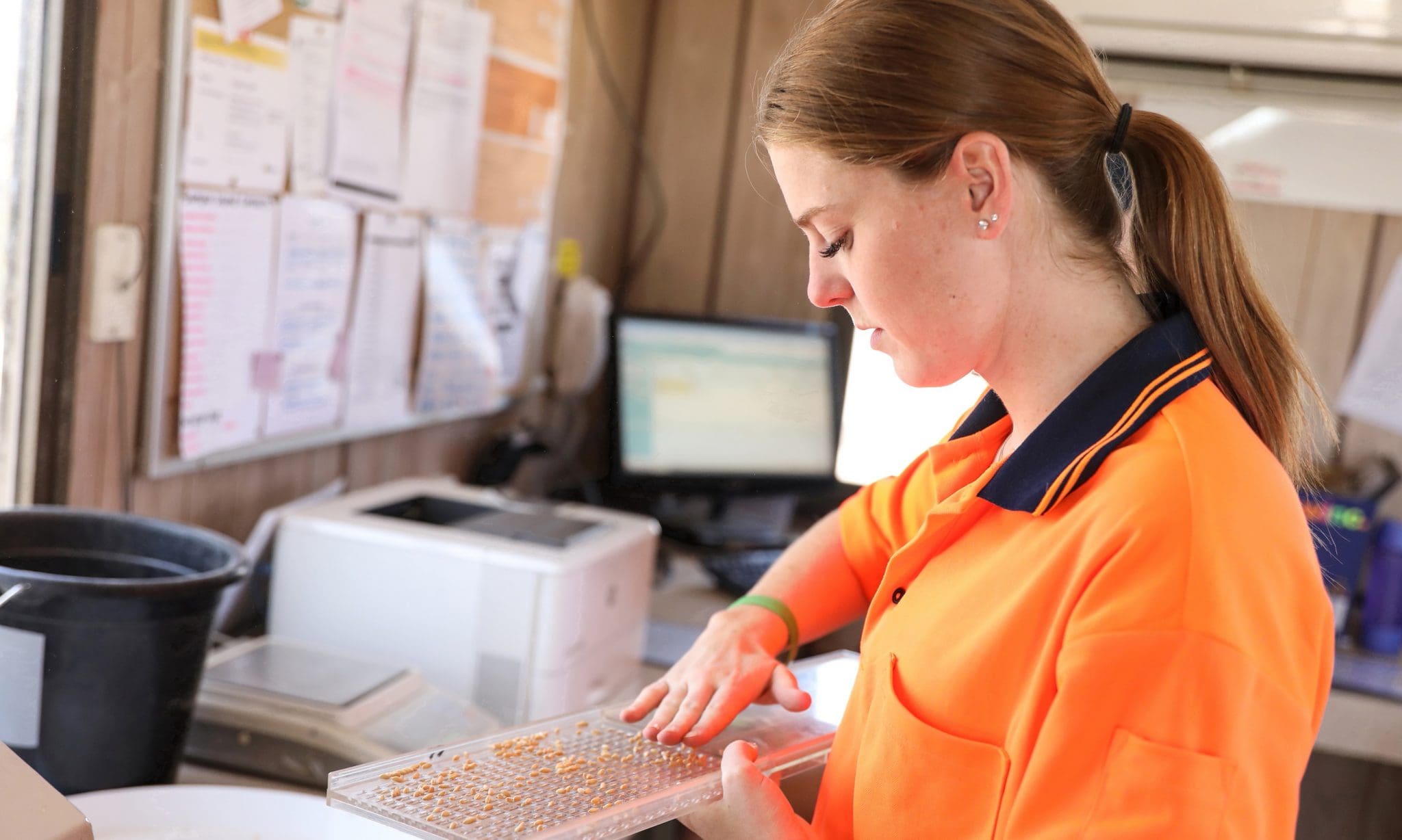 GrainCorp Seeks Biggest Harvest Workforce Since 2016 Grain Central