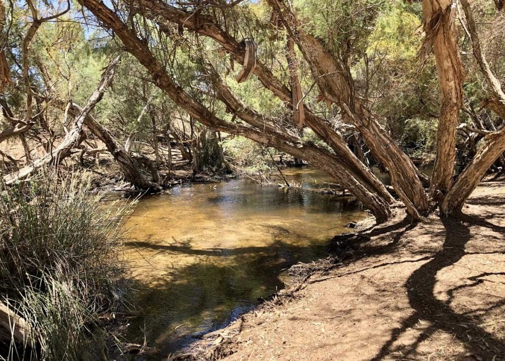 WA’s Arrowsmith Farm to roadtest online auction Grain Central