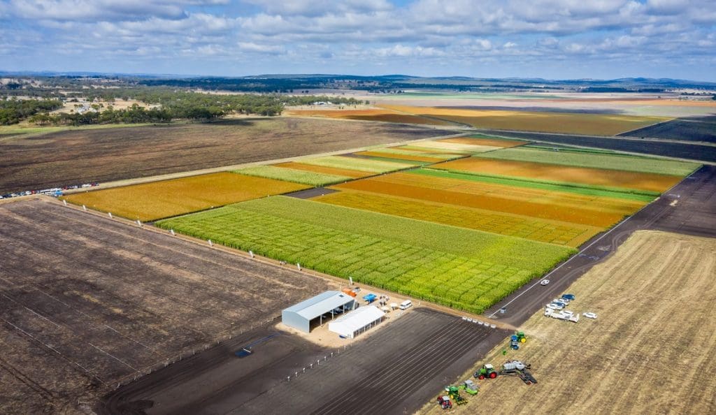 Pacific Seeds launches Foundation Farm hub Grain Central