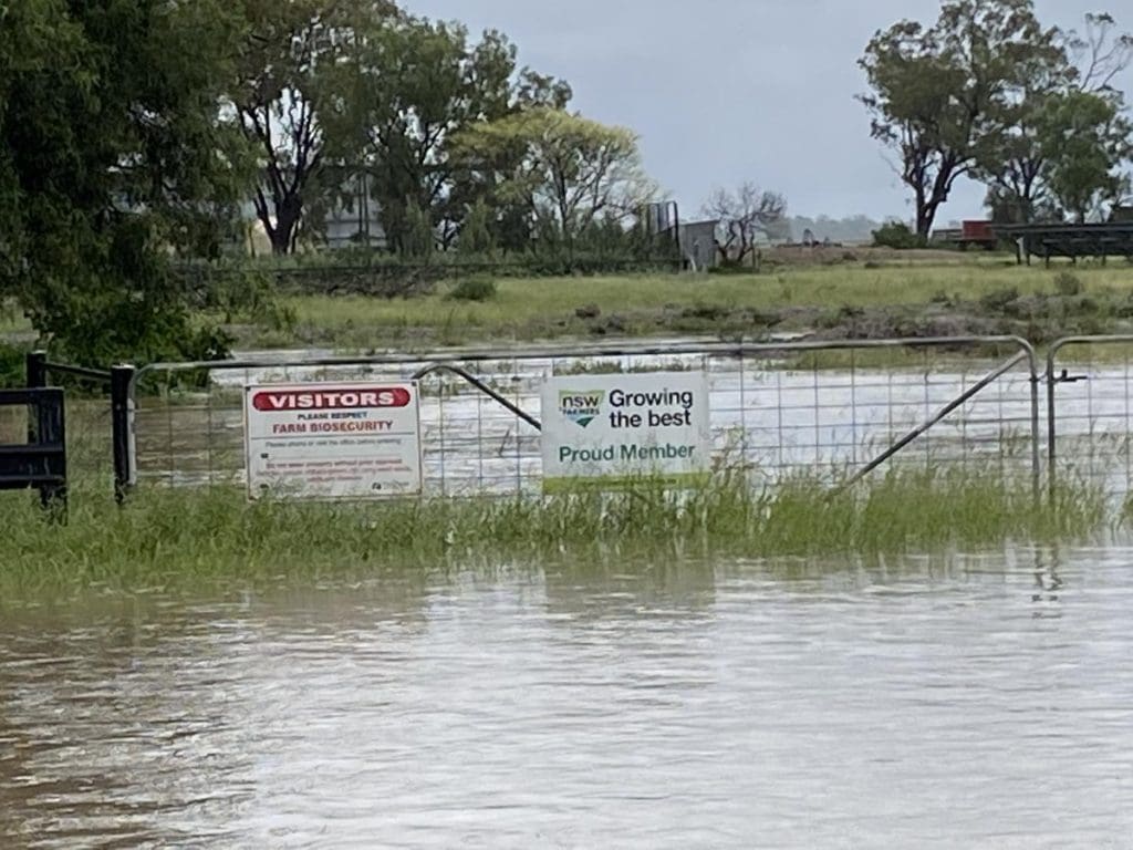 Grants available to assist farmers with flood recovery Grain Central