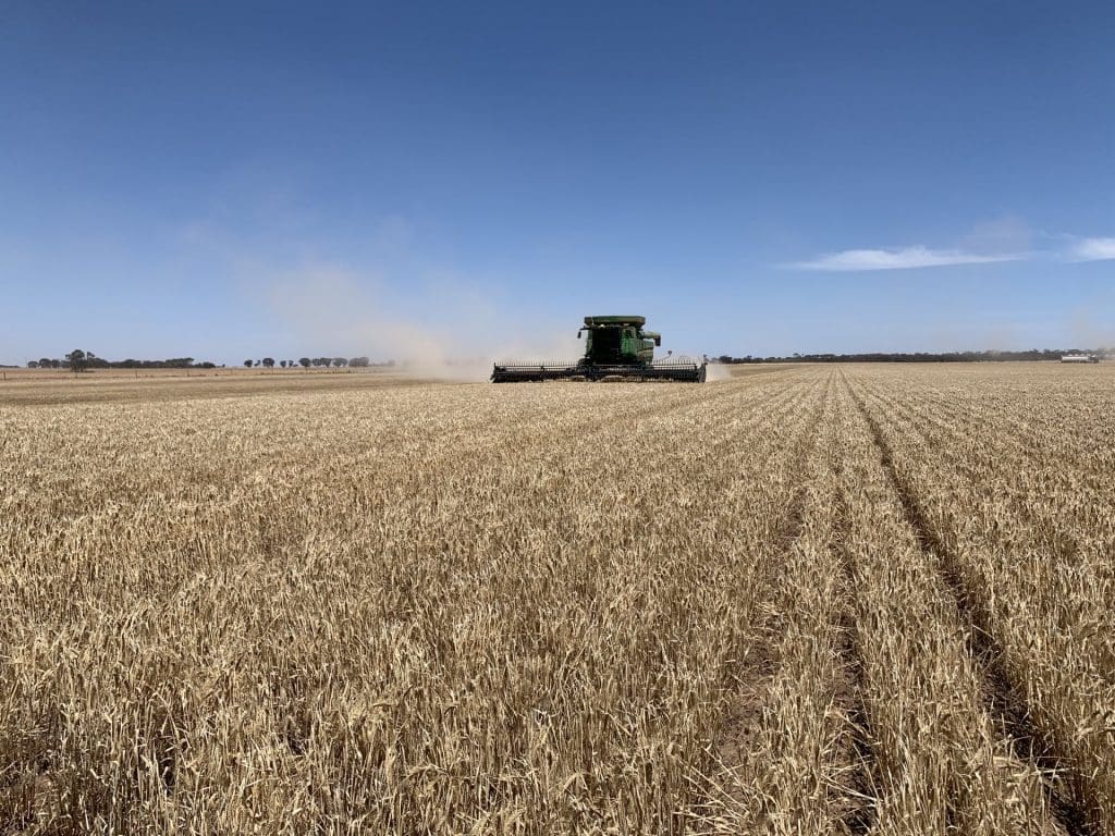 Australia’s June barley exports slump, rises Grain Central