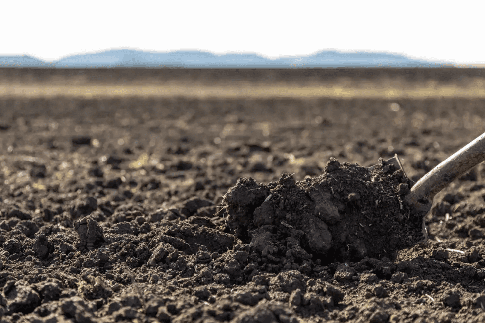 Longacres at Gunnedah includes some heavy black soils which have grown cotton, and are suited to winter and summer cropping. Photo: Ray White