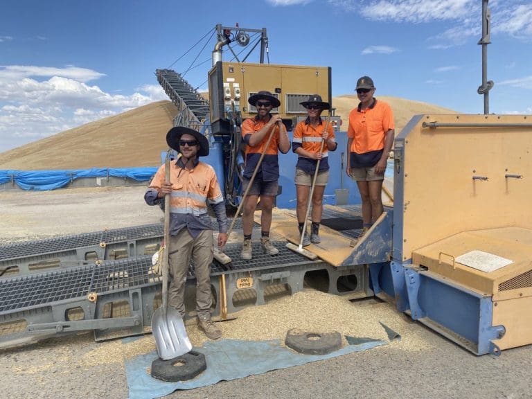 Grain handlers put call out for harvest workers Grain Central