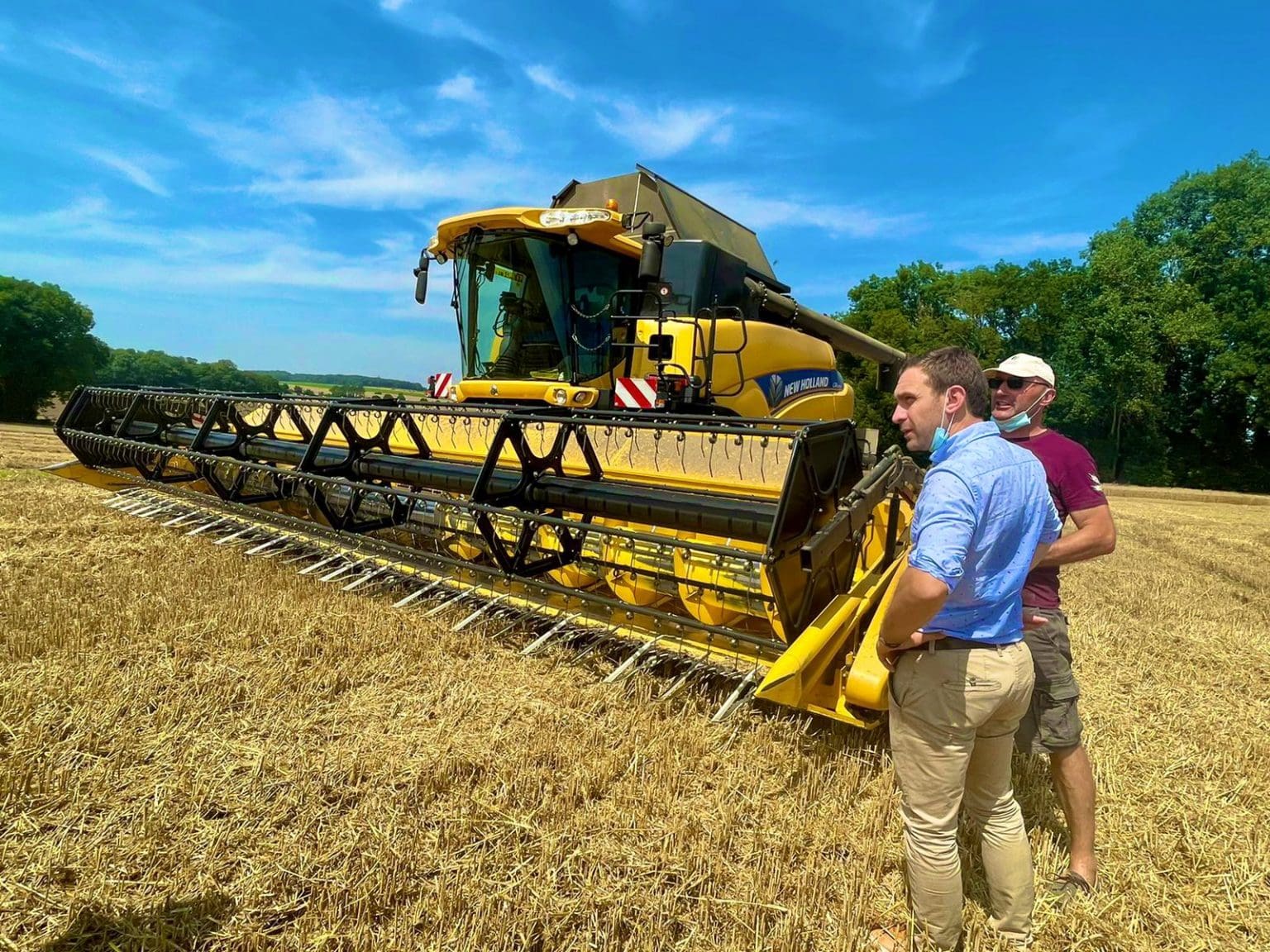 USDA slashes global wheat production - Grain Central
