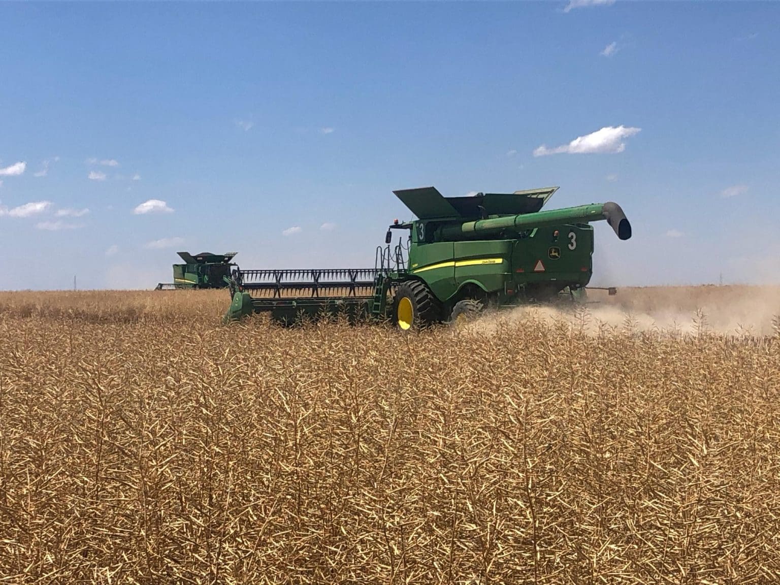 Australia exports 104,564t canola in Sept Grain Central