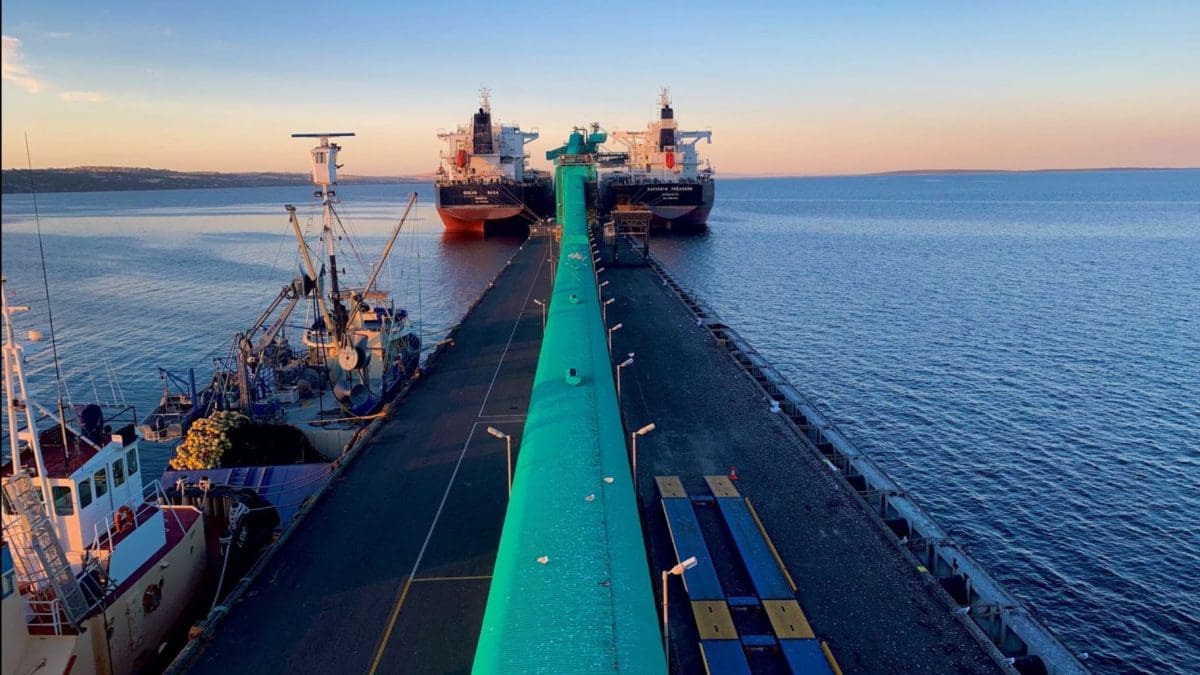 Two vessels, one carrying wheat and the other barley, loaded at Viterra's Port Lincoln terminal in the 2021 Christmas week. 