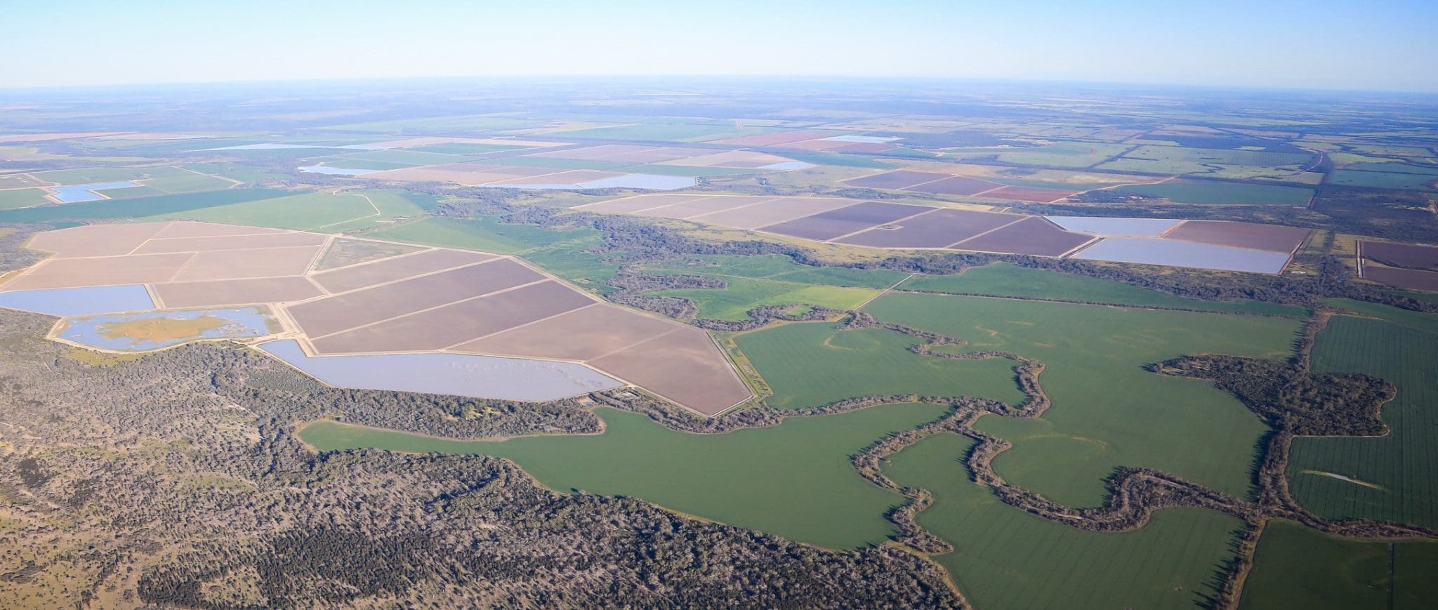 Reardon's Qld cotton operation on the market Grain Central