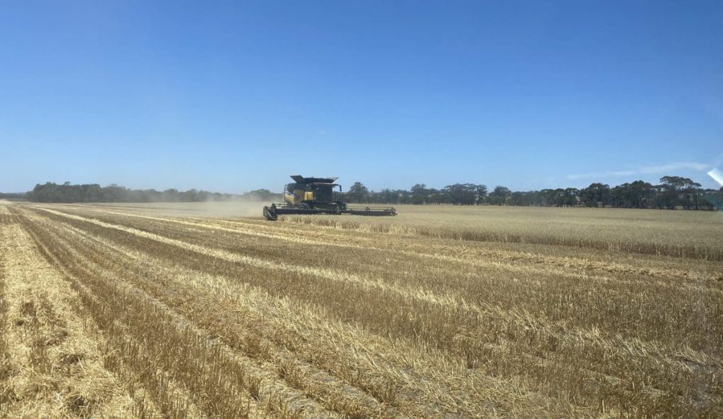 Farmland values increase by 20pc in 2021 Rural Bank Grain Central