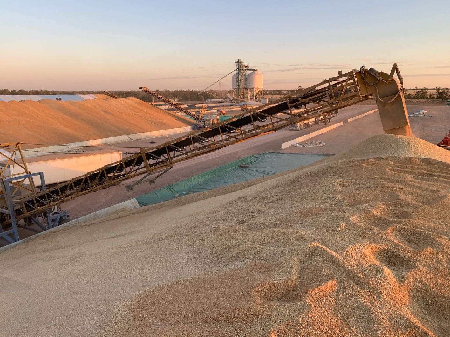 Australian wheat exports drop 7pc in May to 2.4Mt Grain Central