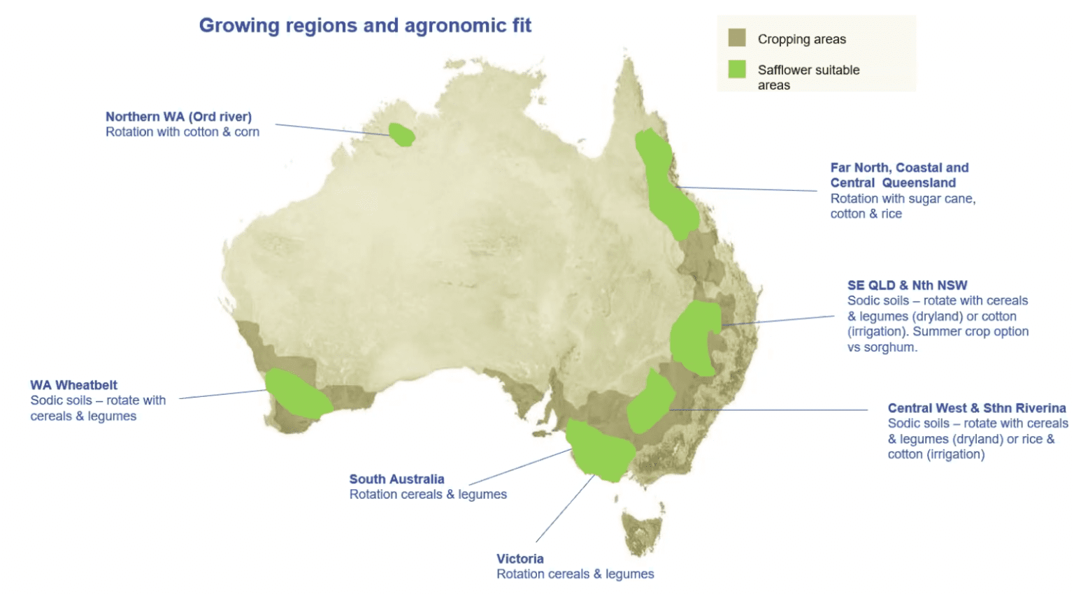 Demand for SHO safflower looks bright Grain Central