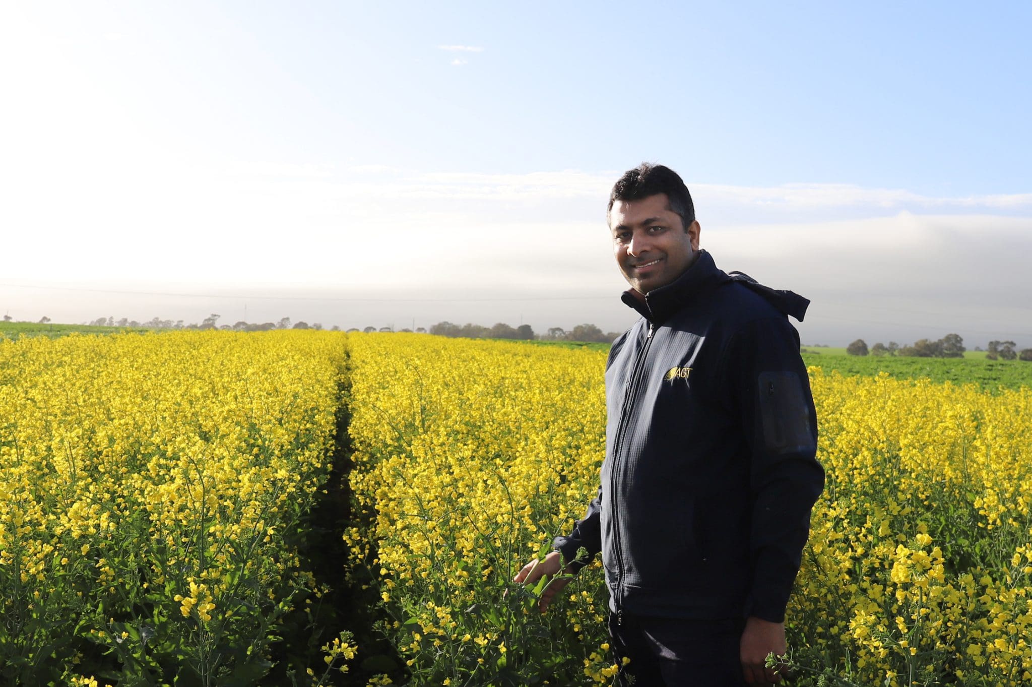 AGT releases trio of OP canola varieties Grain Central