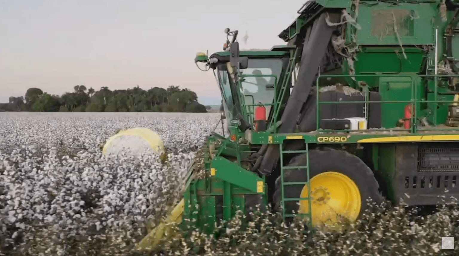 Northern Australia could be home to four gins Grain Central