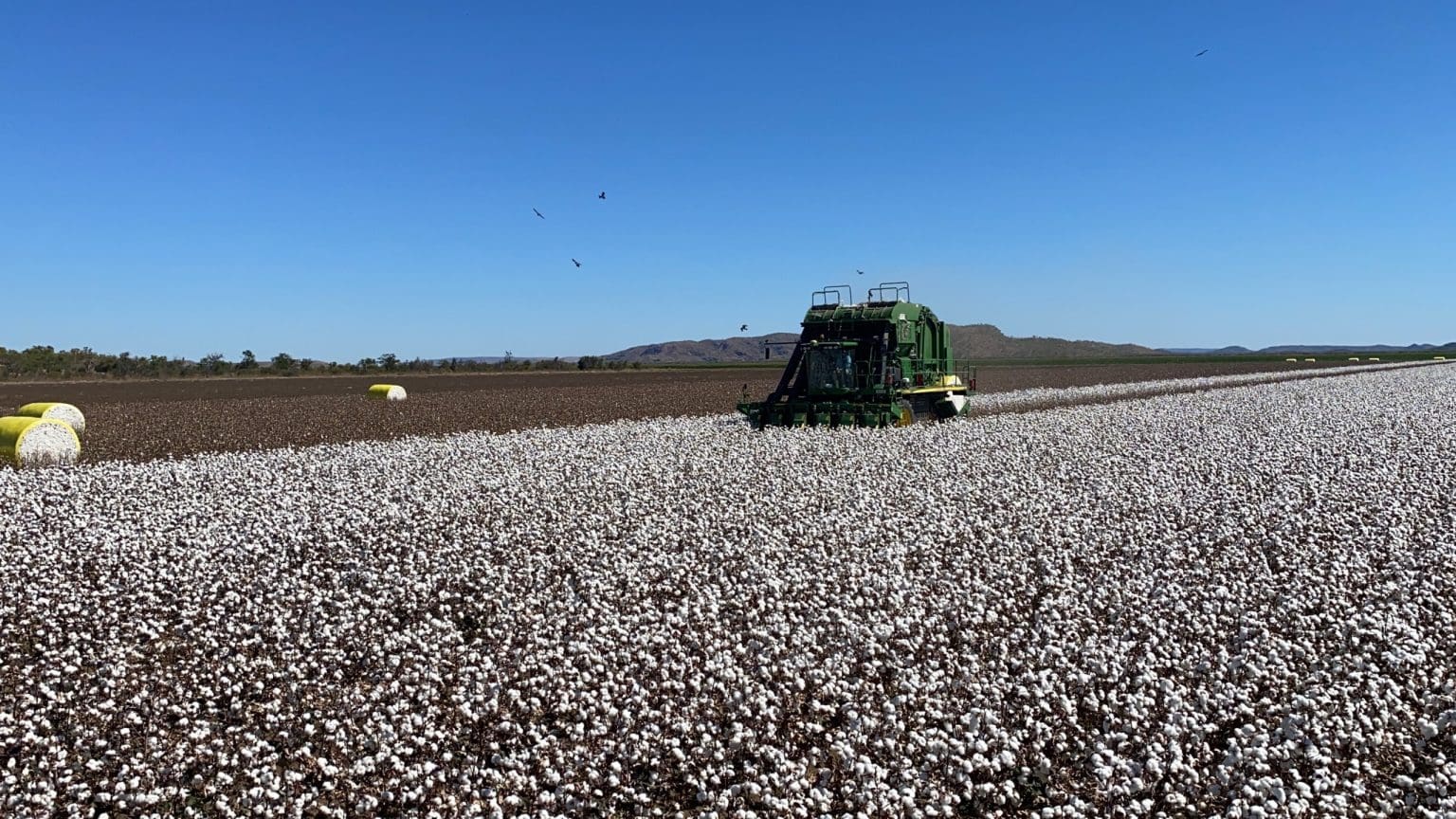 Milestone brings Kimberley gin a step closer Grain Central