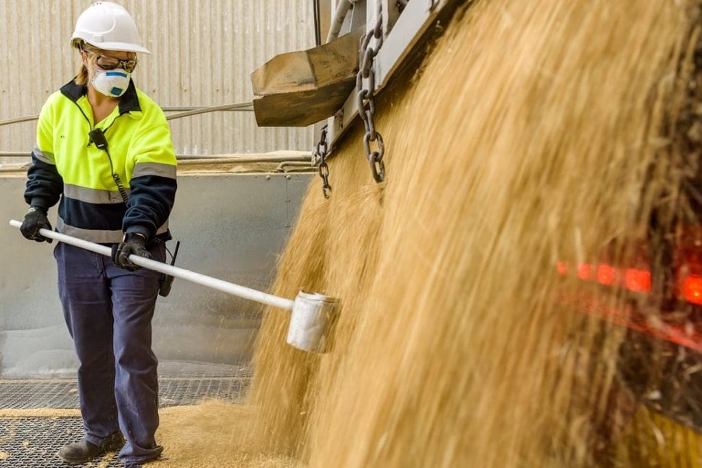 Viterra harvest intake hits 566,671t Grain Central Viterra harvest intake hits 566,671t Grain Central