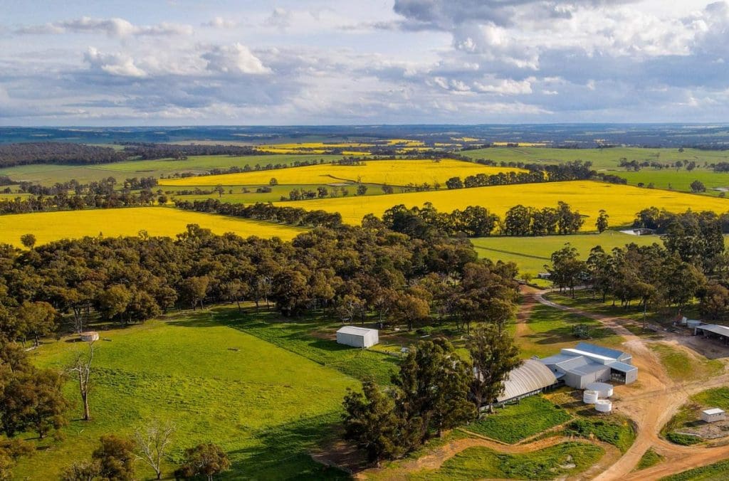 Cherylton Farms offers scale in southern WA Grain Central