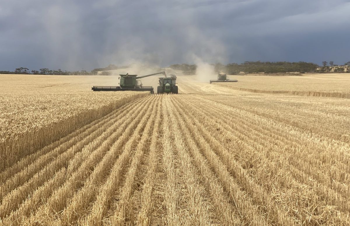 From west harvest in five stories - Grain Central