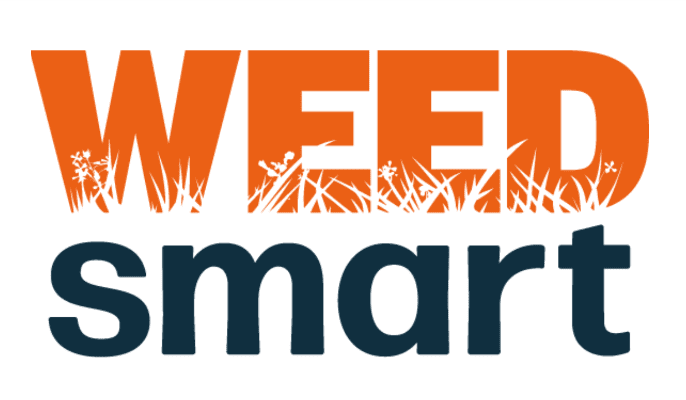 Tips for tackling herbicide-resistant summer fallow weeds - Grain Central
