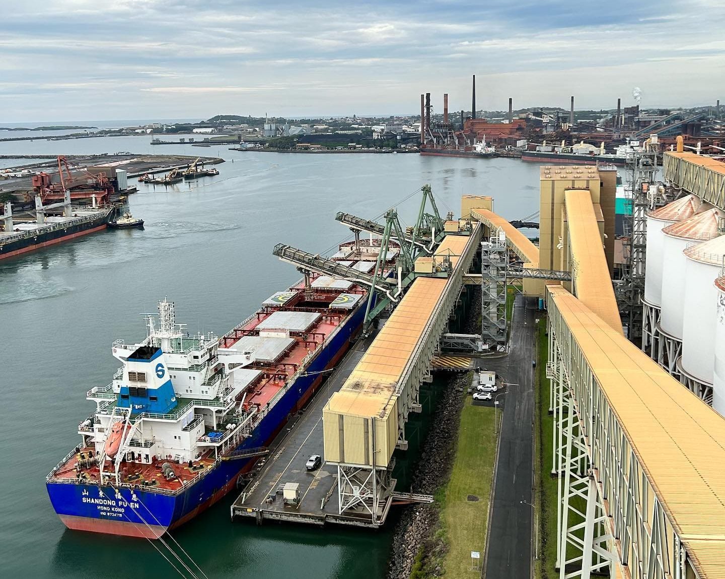 A cargo of wheat bound for Asia loads at GrainCorp's Port Kembla terminal in March 2023