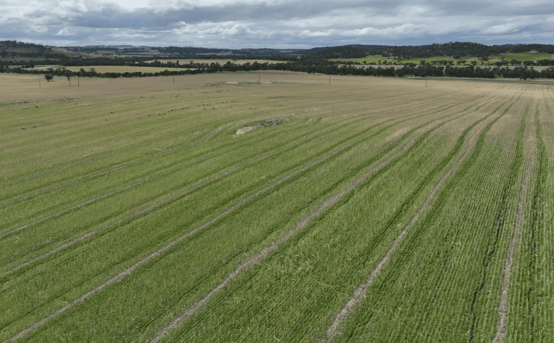 WA, Vic farms sell amid steady family demand