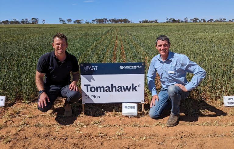 AGT releases Tomahawk CL Plus to close yield gap - Grain Central