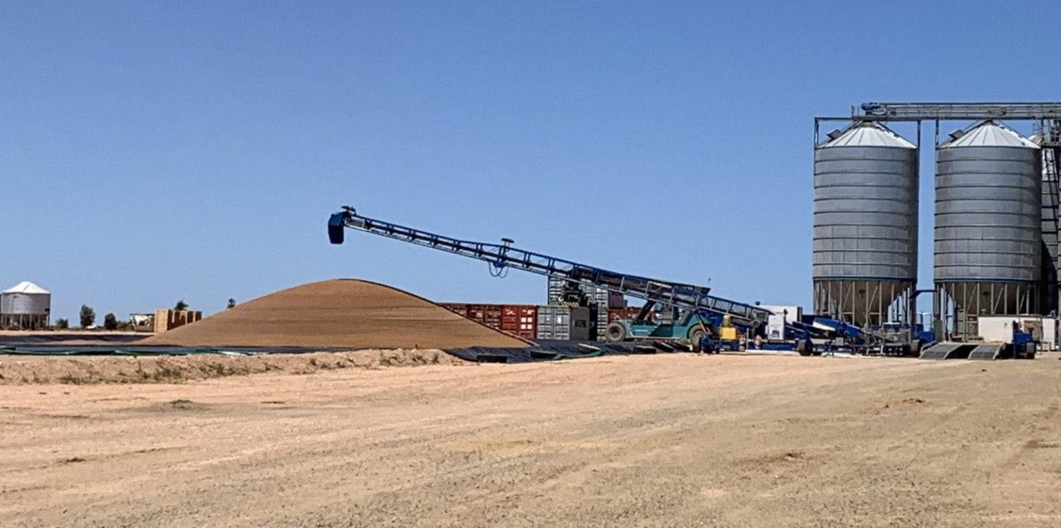 Australia exports 675,516t chickpeas, 1.7Mt lentils in yr to Sep