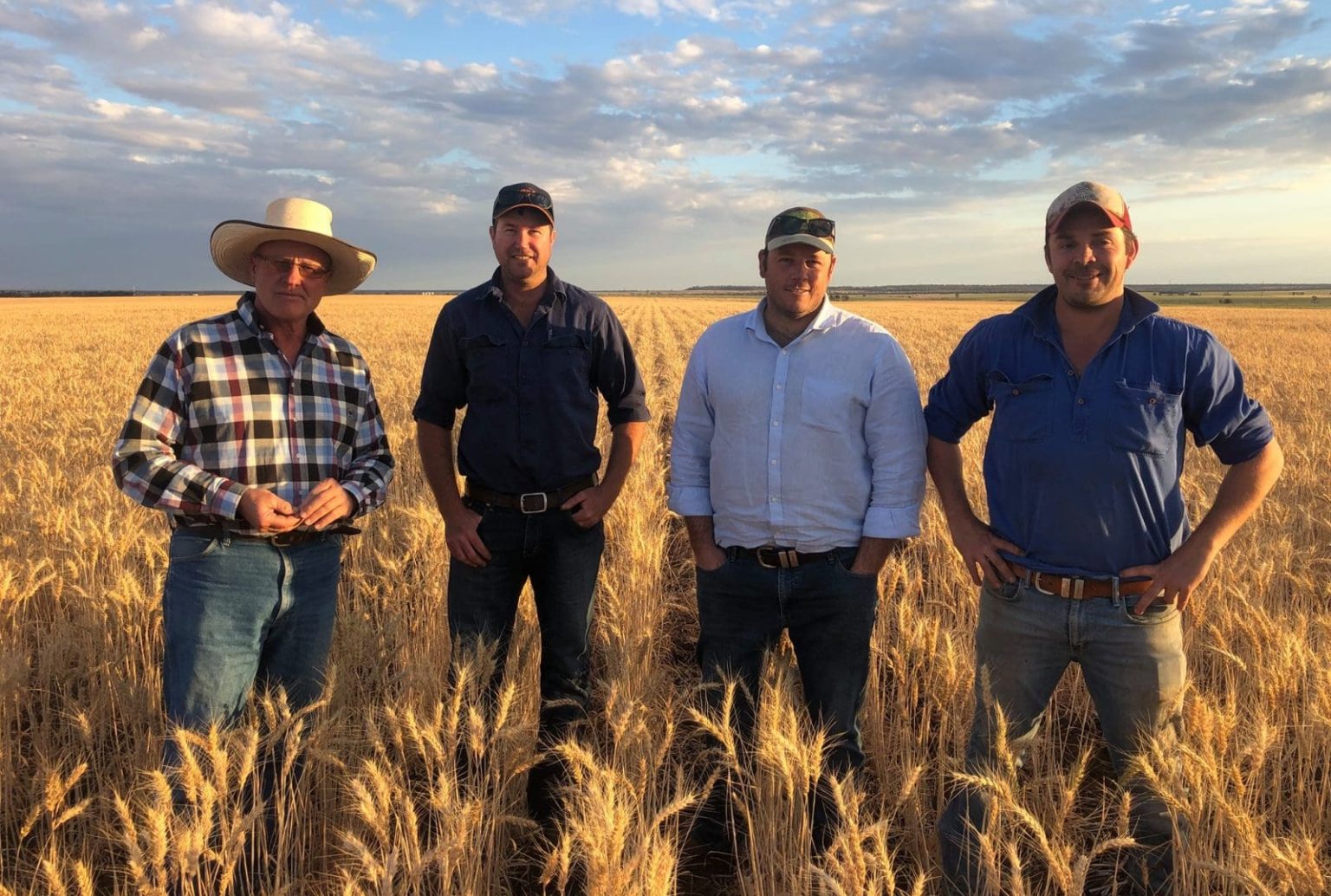 Rebel Seeds' Borlaug gets Hard wheat classification - Grain Central
