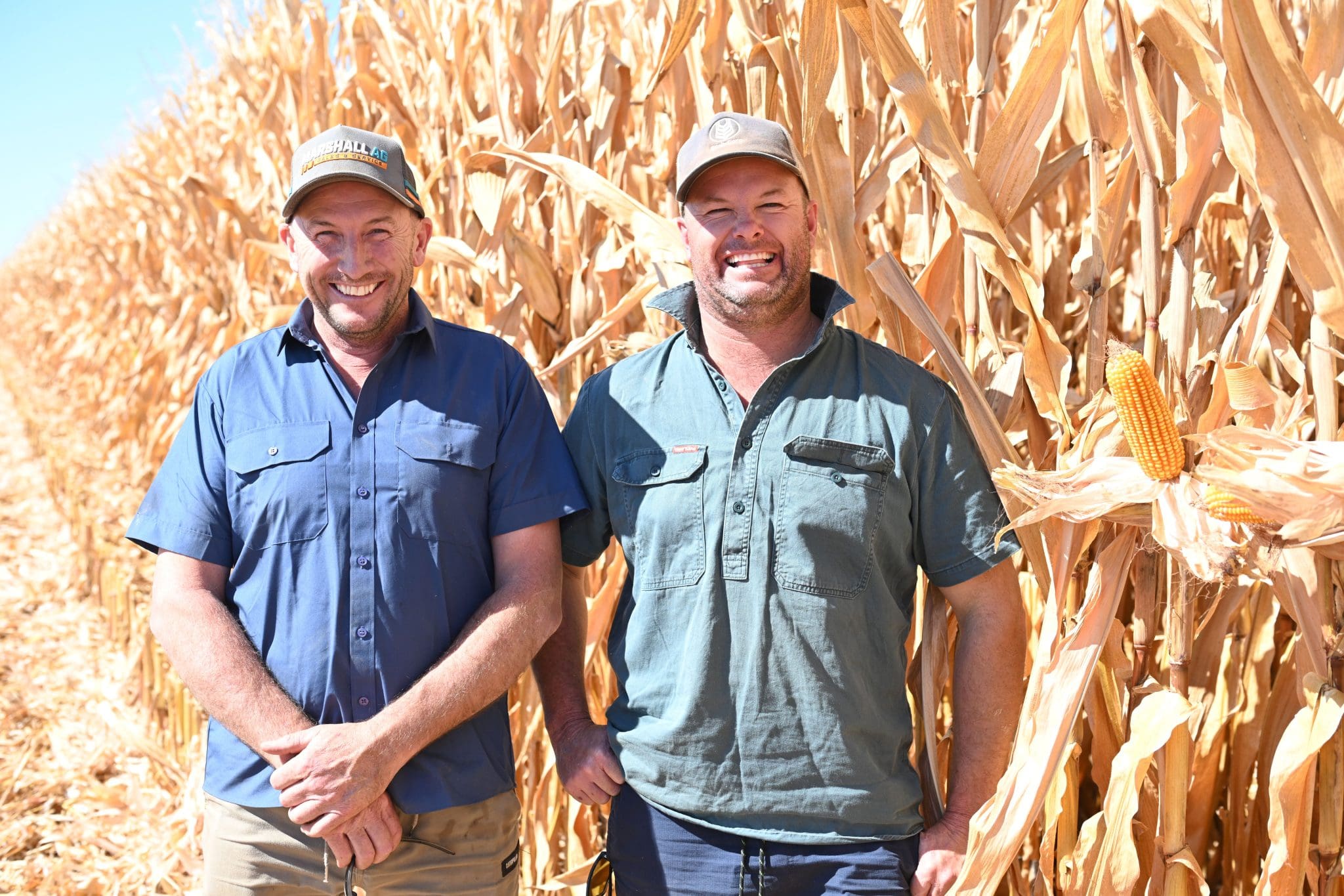 Tocumwal corn sets national yield record in mixed season Grain Central
