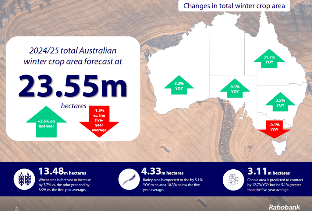 Rabo Winter Crop Outlook forecasts big lift in wheat area - Grain Central