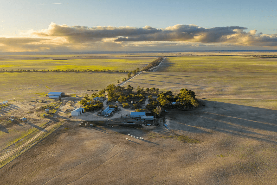 Rundles lists, EP's Karakana, Vic Mallee holding sell - Grain Central