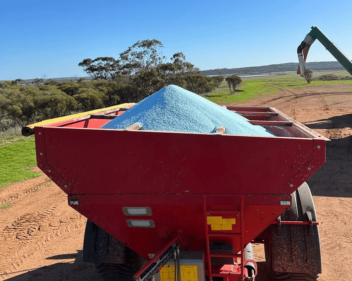 sachin and babi light blue dress Nitrogen supply, demand and utilisation in winter wheat main image 0