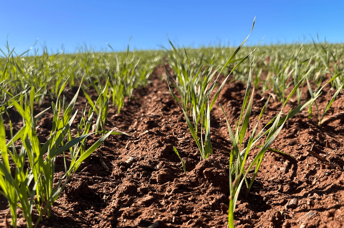 growmore agronomy services facebook 31 march 2026