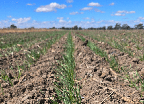 jeremy morton x 28 mar 2026