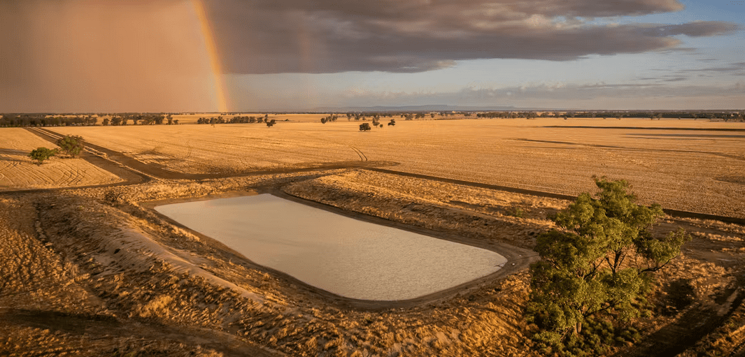 myalla narromine elders listing