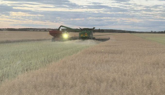 agrobaz x 2 nov 2025
