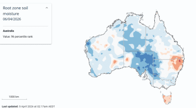 Supplied: Lachstock