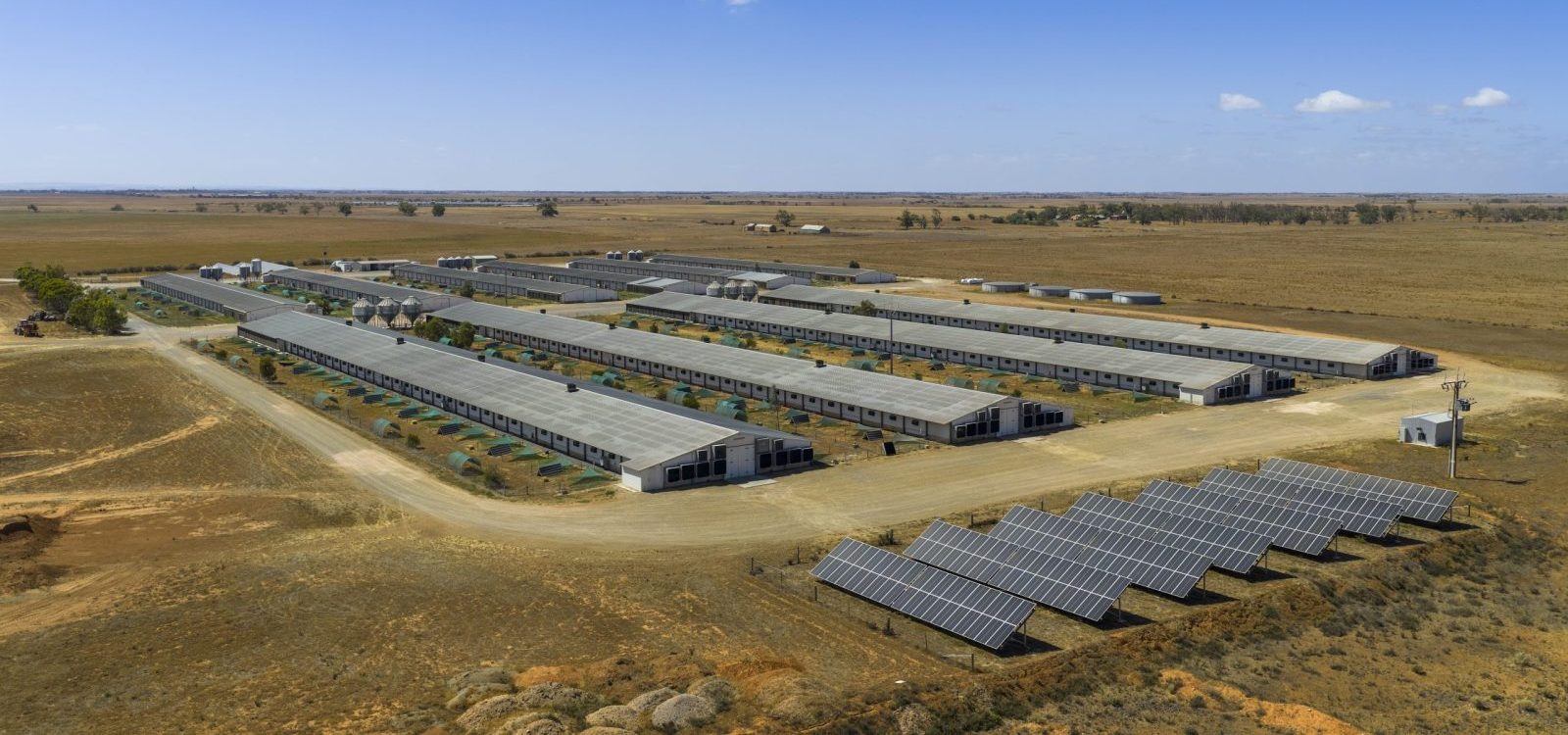 colliers media release