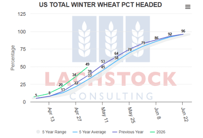 Supplied: Lachstock