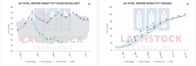 Supplied: Lachstock